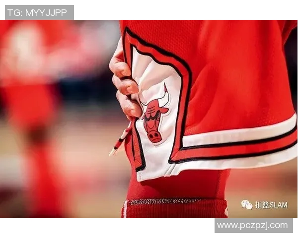 芝加哥天空下的篮球梦与城市风情交织的精彩瞬间